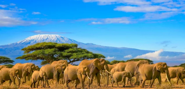 Tanzania